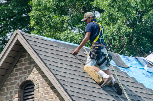 Best Roof Gutter Cleaning  in Fairplay, GA